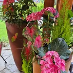 Frühstückspension Niedzwiedzia Garden Sauna 3*