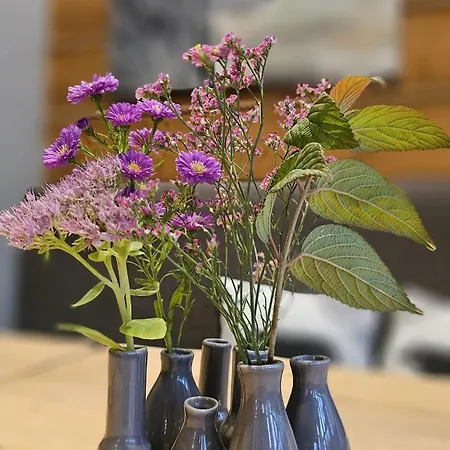 Niedzwiedzia Garden & Sauna 3* 포로닌