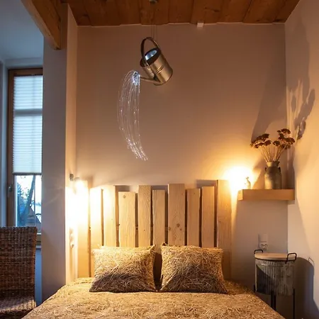 Niedzwiedzia Garden & Sauna B&B 3*